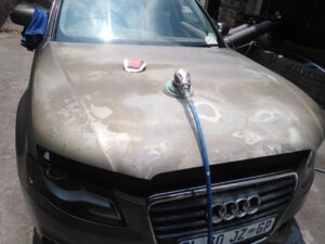 164003283_268245244847104_5659701498850753116_n_268245241513771